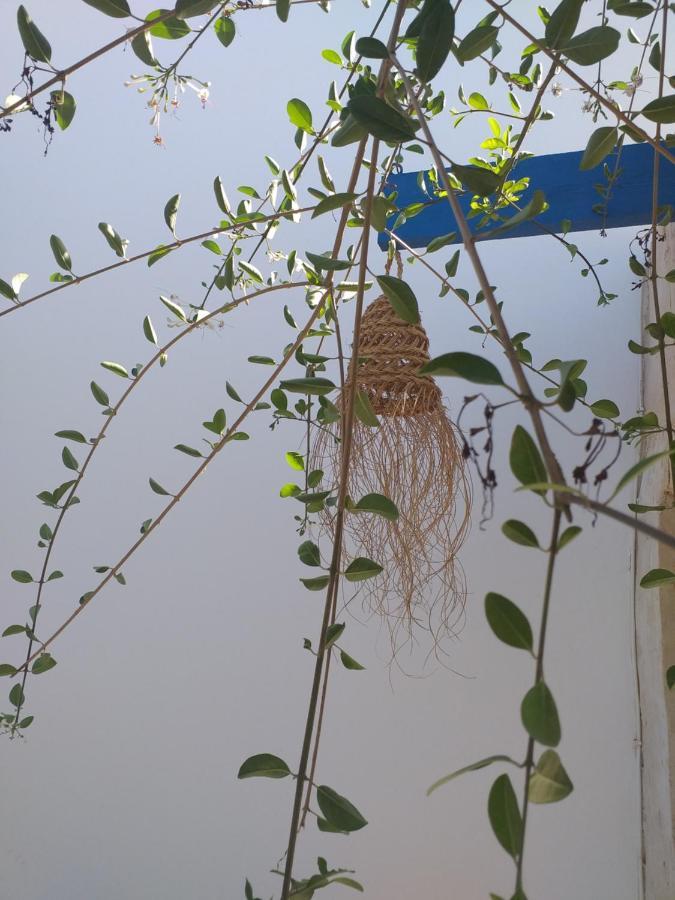 Apartamento Dar Janis Djerba دار يانيس جربة Houmt El Souk Habitación foto