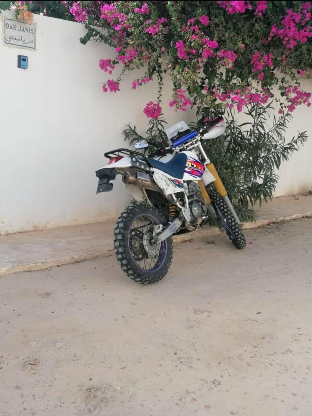 Apartamento Dar Janis Djerba دار يانيس جربة Houmt El Souk Exterior foto